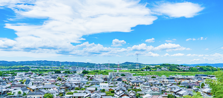 画像：サンプル