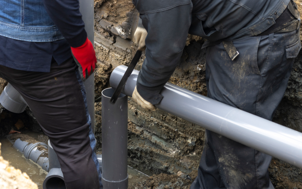 画像：サンプル