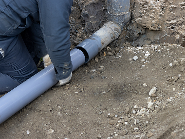 画像：サンプル